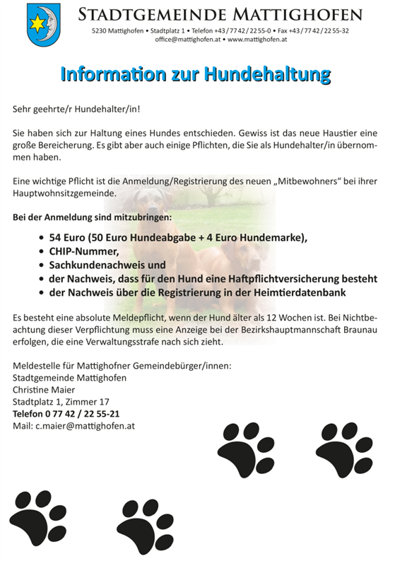 Info Hundehaltung